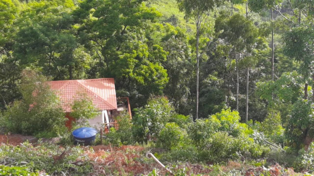Pousada Sitio Rusticu'S Domingos Martins Esterno foto